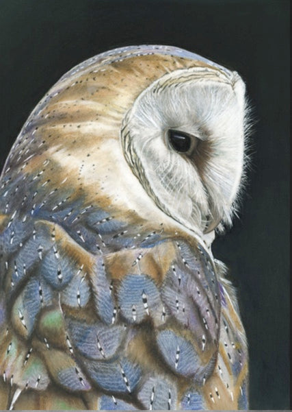 IMPRESIONES DE EDICIÓN LIMITADA - Lechuza común en color - Bellas artes Giclée