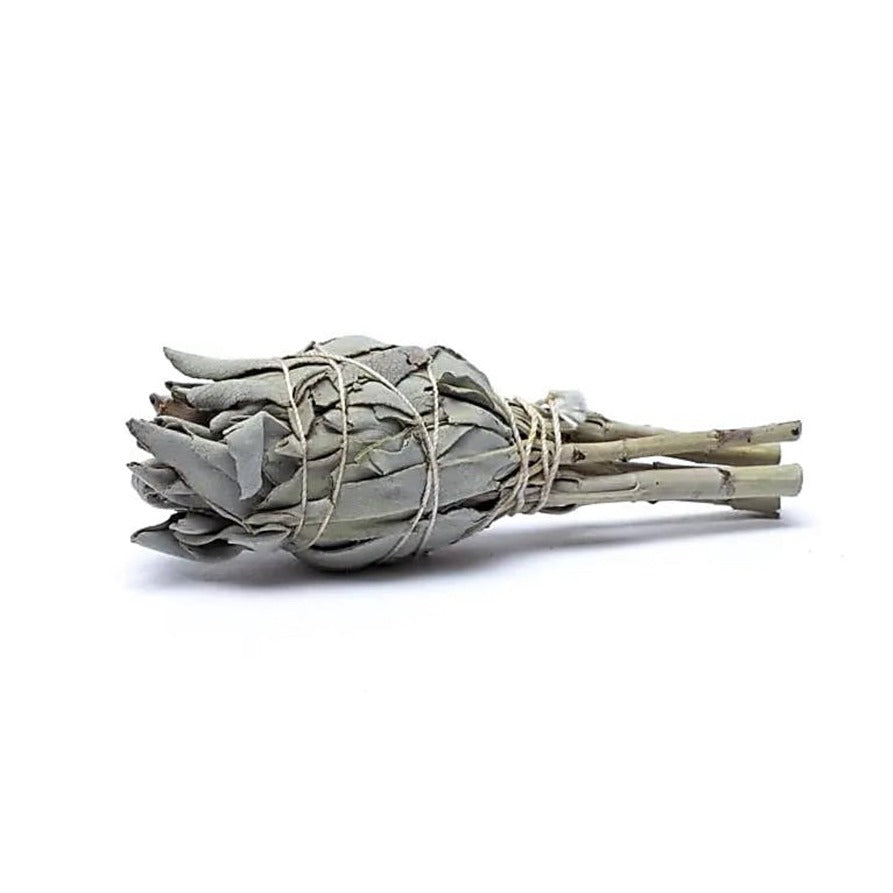 White Sage Smudge Torch – Pack of 3