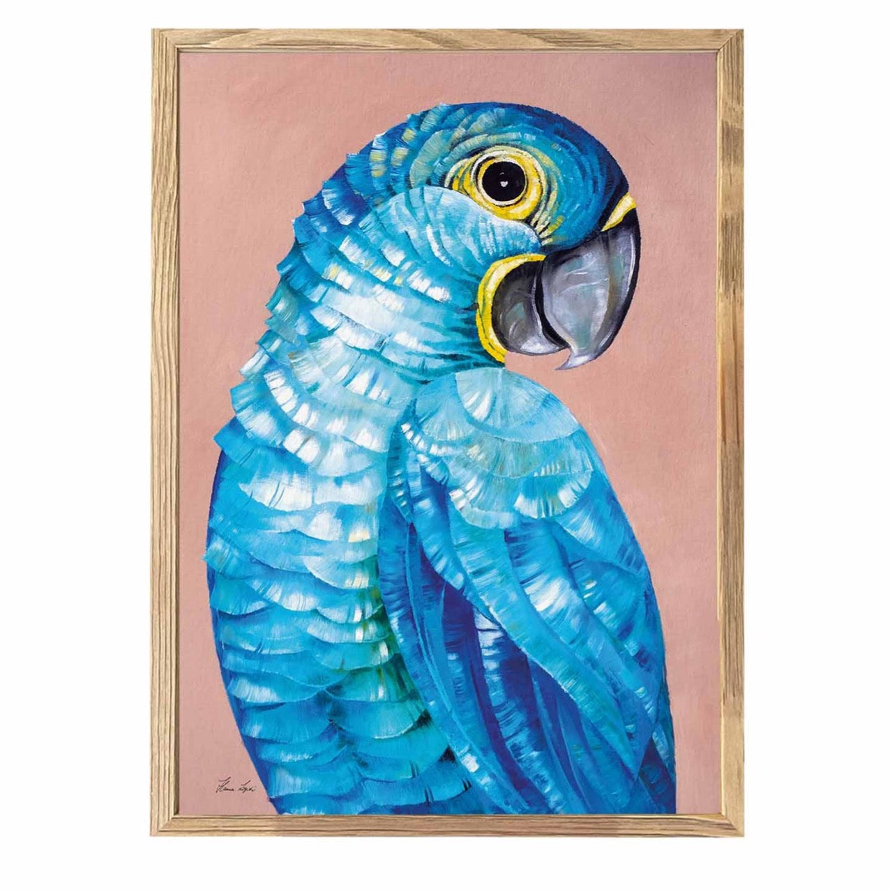 Premium Art Print - Hyacinth Macaw