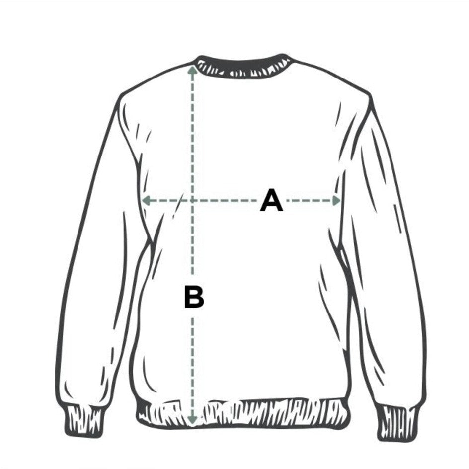 Pullover „Das Chamäleon“ aus Bio-Baumwolle