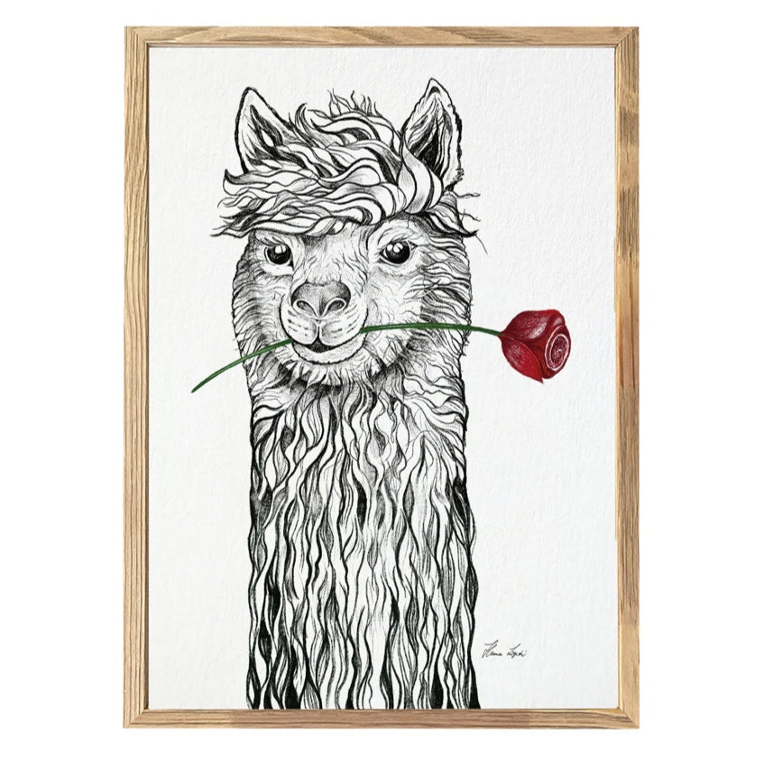 Premium Art Print - Llama Red Rose