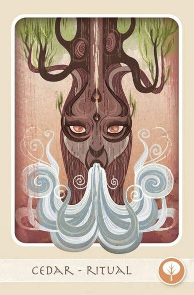 The Herbal Healing Deck Cards – Box set by By Sarah Baldwin and Illustrated by Ashley Verkamp