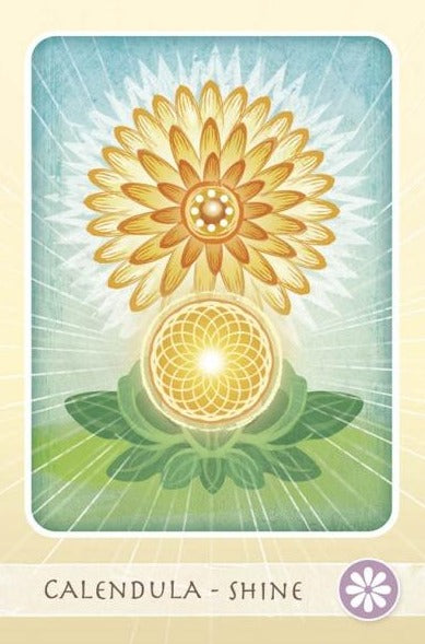 The Herbal Healing Deck Cards – Box set by By Sarah Baldwin and Illustrated by Ashley Verkamp
