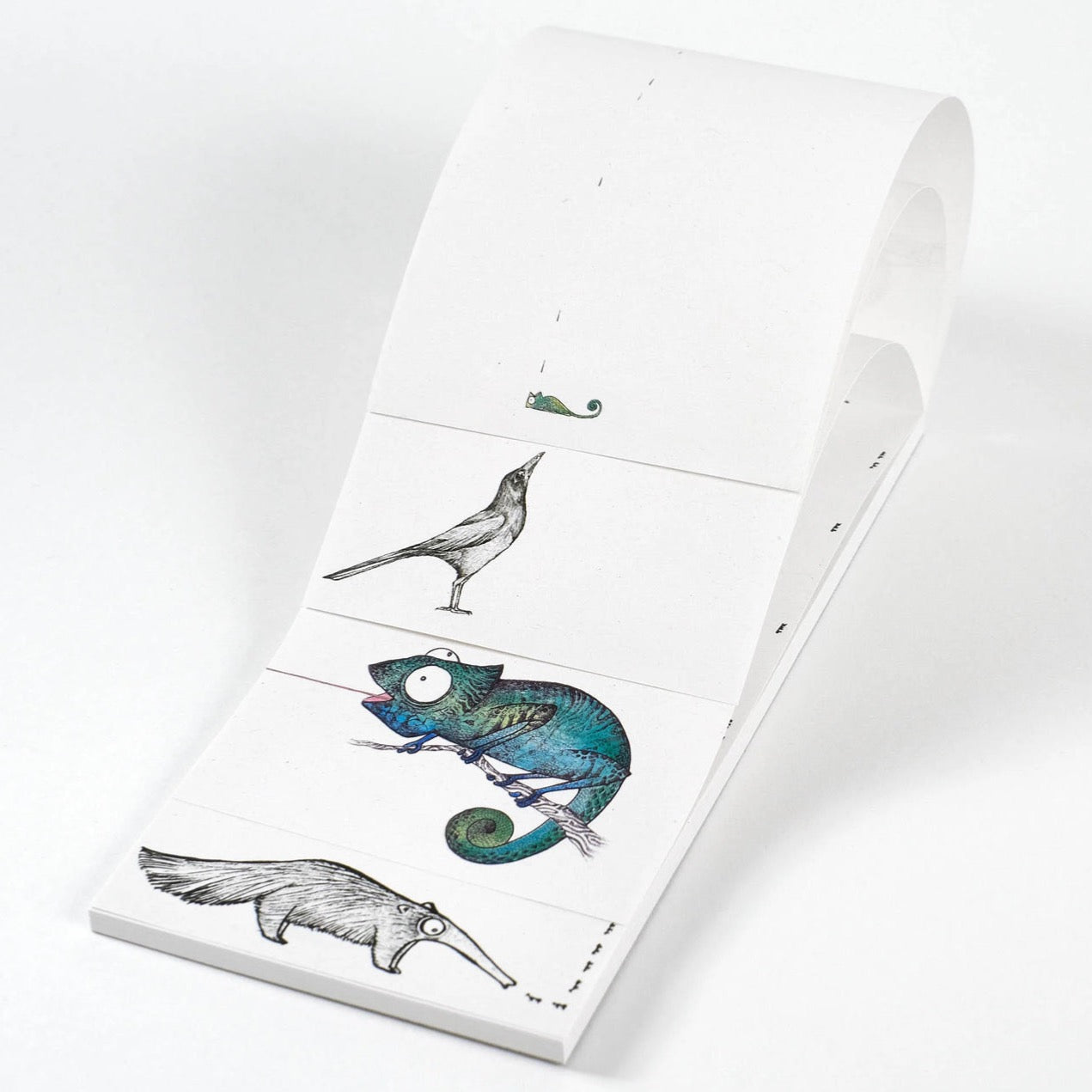 4 illustrations in 1 notepad Sloth and company QUARTET - RECYCLED PAPER