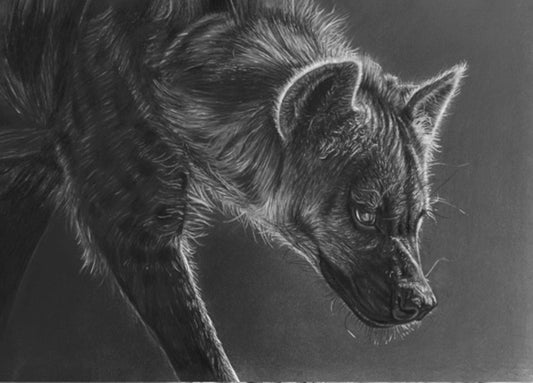LIMITED EDITION PRINTS - Hyena - Fine art Giclee