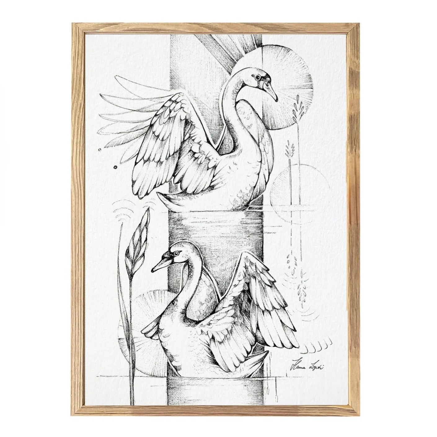 Premium Art Print - swans reflection