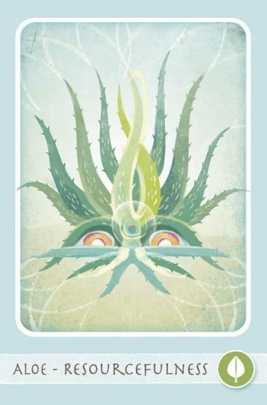 The Herbal Healing Deck Cards – Box set by By Sarah Baldwin and Illustrated by Ashley Verkamp