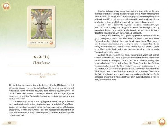 The Herbal Healing Deck Cards – Box set by By Sarah Baldwin and Illustrated by Ashley Verkamp
