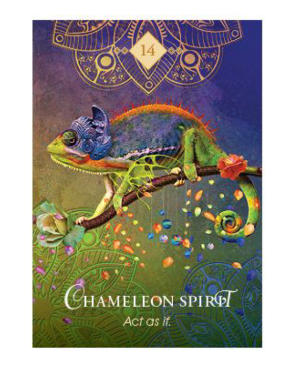 Card deck- The Spirit Animal Oracle Deck - Colette Baron-Reid