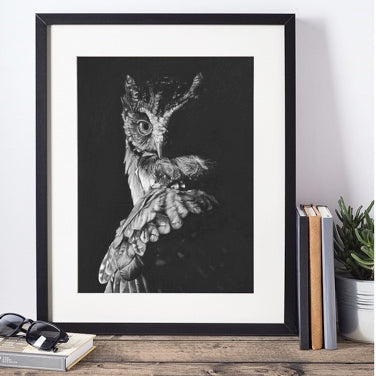 LIMITED EDITION PRINTS - Owl in shadow - Fine art Giclee