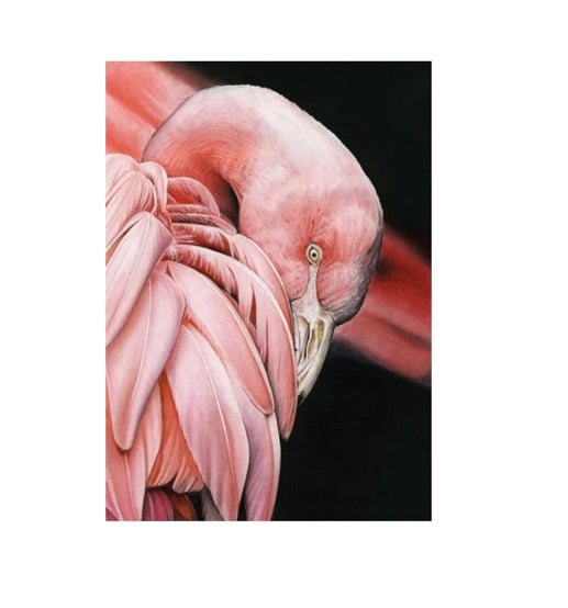 LIMITED EDITION PRINTS - Flamingo (Side) in Colour- Fine art Giclee
