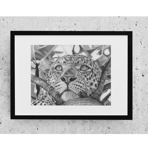 LIMITED EDITION PRINTS - Leopard- Fine art Giclee