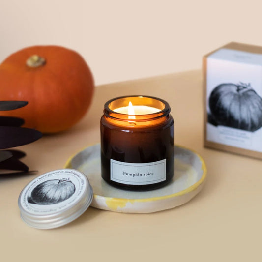 Pumpkin spice soy wax ARTISAN natural candle -hand poured in small batches