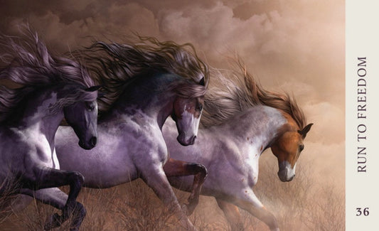 Horse Wisdom Oracle Kathy Pike Artwork by Laurie Prindle