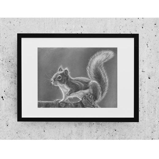 IMPRESIONES DE EDICIÓN LIMITADA - Ardilla - Bellas artes Giclée