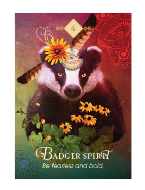 Card deck- The Spirit Animal Oracle Deck - Colette Baron-Reid