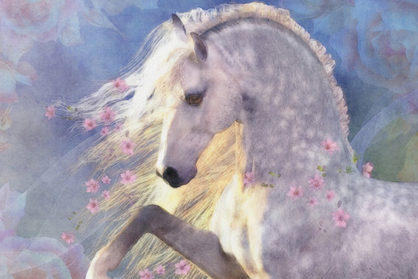 Card Deck - Oracle Of The Sacred Horse - Kathy Pike