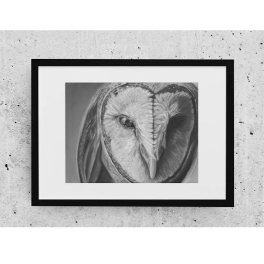 LIMITED EDITION PRINTS - Owl - Fine art Giclee