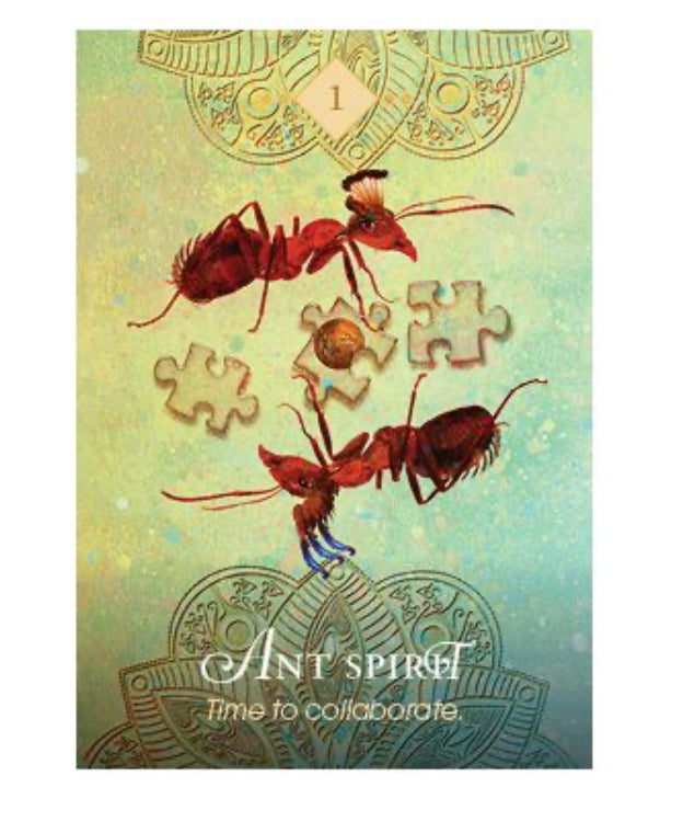 Card deck- The Spirit Animal Oracle Deck - Colette Baron-Reid