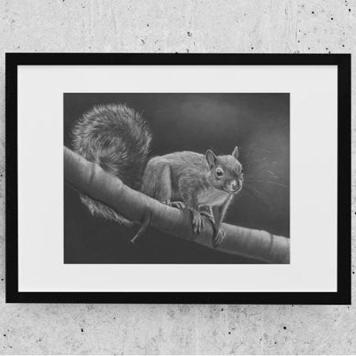 LIMITED EDITION A4 PRINTS - Squirrel balancing on a branch - Fine art Giclee