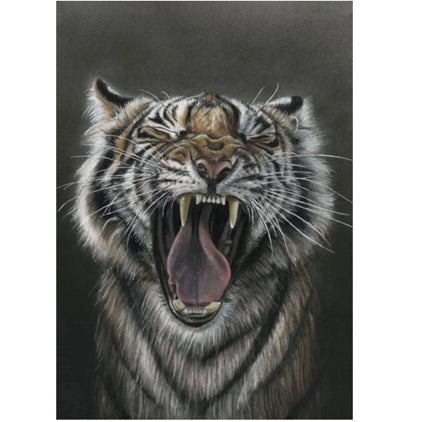 LIMITED EDITION PRINTS - Tiger Yawn - Fine art Giclee