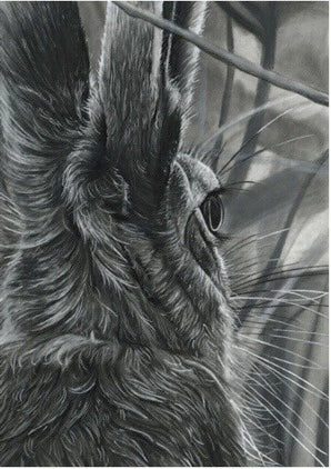 LIMITED EDITION PRINTS - Hare back - Fine art Giclee