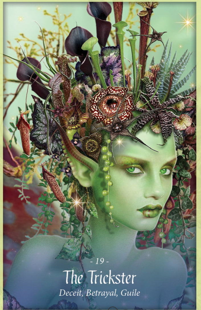 Card deck-The Faery Forest Oracle - Lucy Cavendish