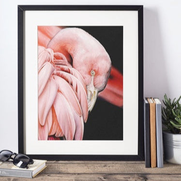 LIMITED EDITION PRINTS - Flamingo (Side) in Colour- Fine art Giclee