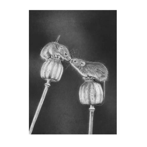 LIMITED EDITION PRINTS - Harvest Mice on Poppy Heads A4 - Fine art Giclee