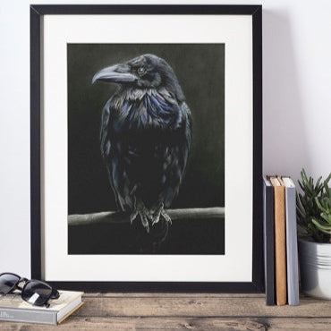 LIMITED EDITION PRINTS - Raven in Colour - Fine art Giclee