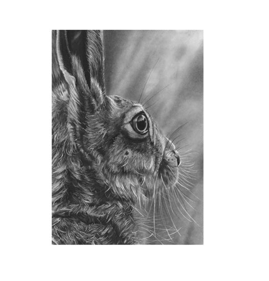 LIMITED EDITION PRINTS - Hare (side) - Fine art Giclee