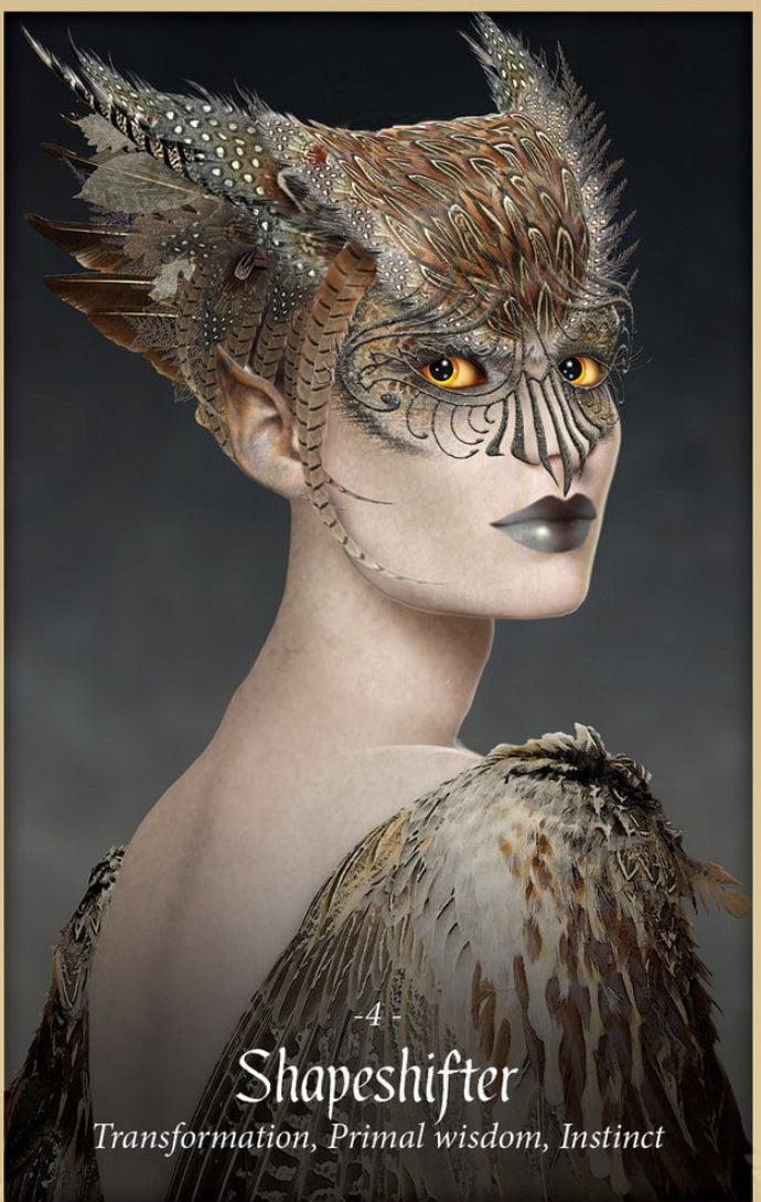 Card deck-The Faery Forest Oracle - Lucy Cavendish