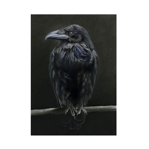 LIMITED EDITION PRINTS - Raven in Colour - Fine art Giclee