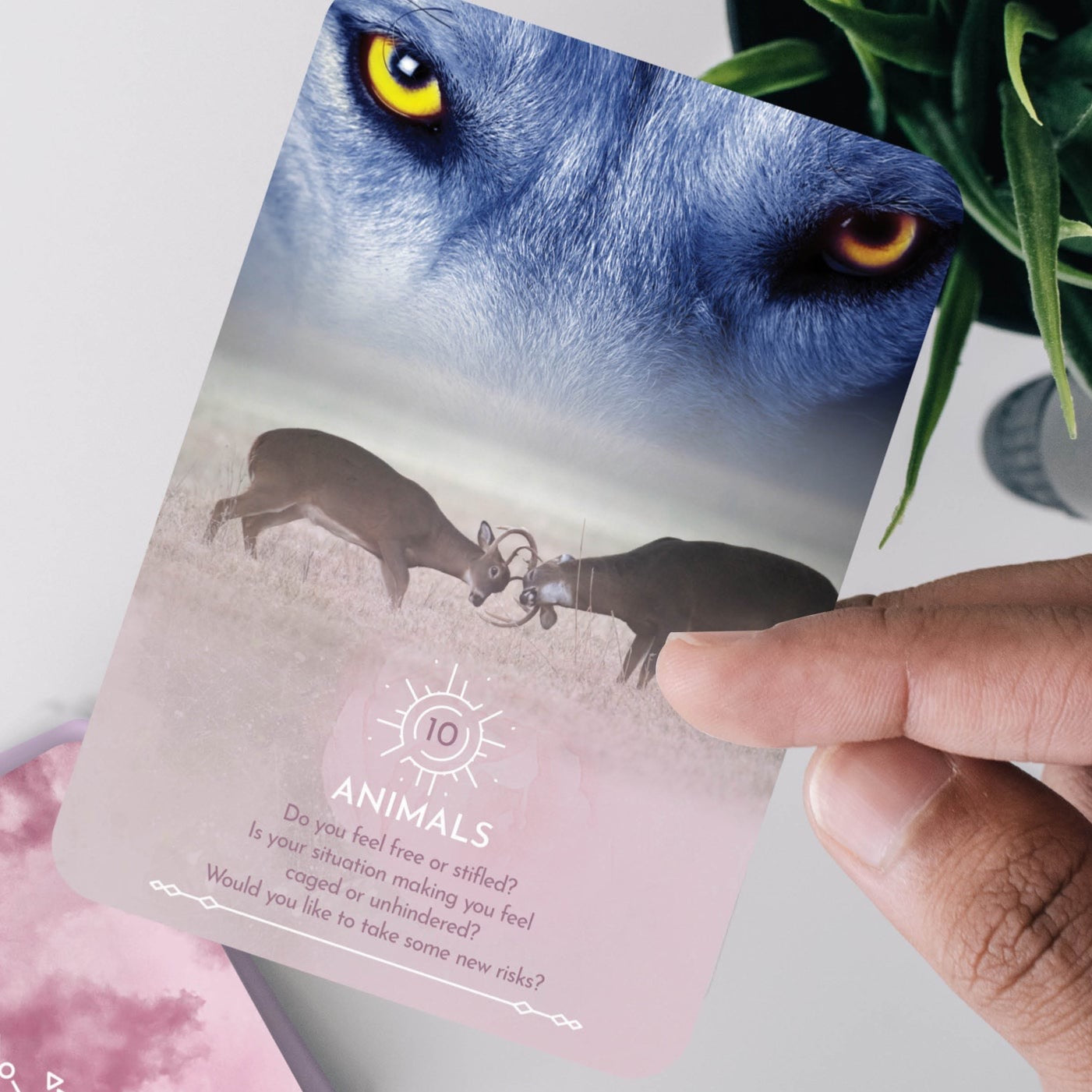 Gorgeous Card deck- DREAM READING CARDS AWAKEN YOUR INTUITIVE SUBCONSCIOUS By: Rose Inserra