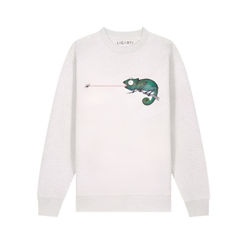 Organic cotton Pullover “The Chameleon ”