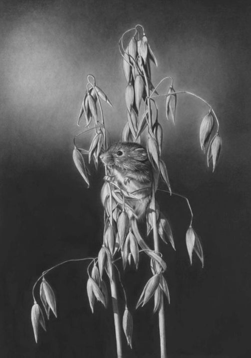 IMPRESIONES DE EDICIÓN LIMITADA - Ratón de la cosecha Hierba de avena - Bellas artes Giclée
