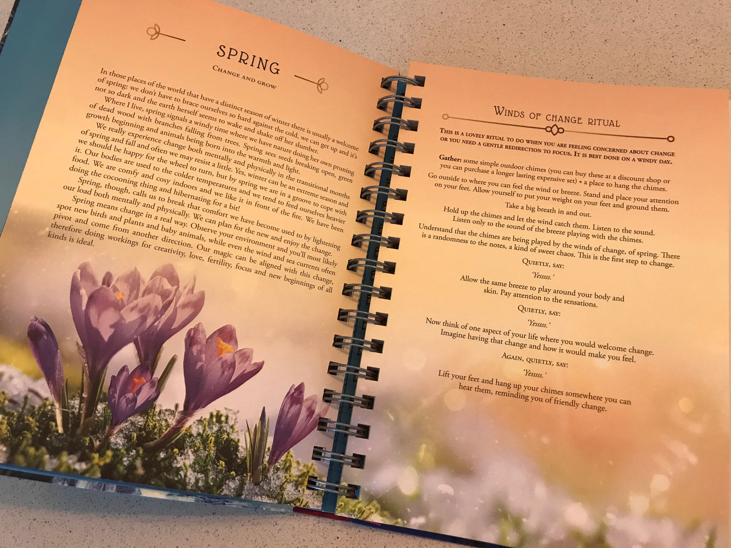2025 Lunar & Seasonal Diary - Southern Hemisphere by Stacey DeMarco