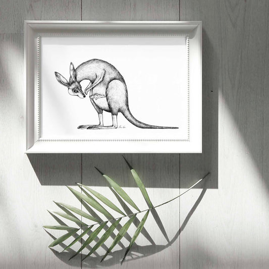 Premium Art Print - Kangaroo Love