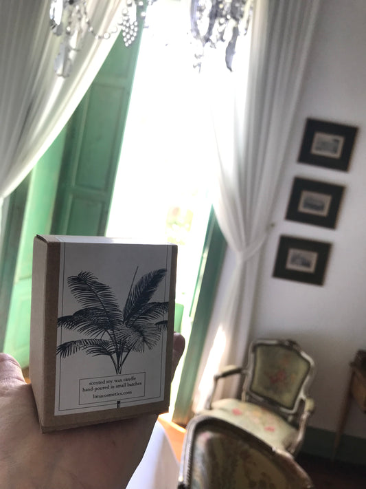 Coco & sandalwood soy wax ARTISAN natural candle -hand poured in small batches