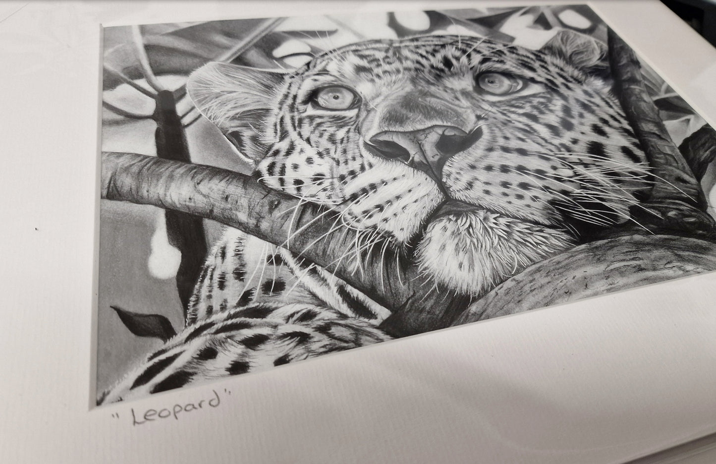 LIMITED EDITION PRINTS - Leopard- Fine art Giclee