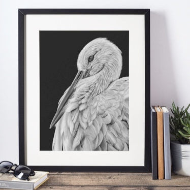 LIMITED EDITION A4 PRINTS - Stork - Fine art Giclee