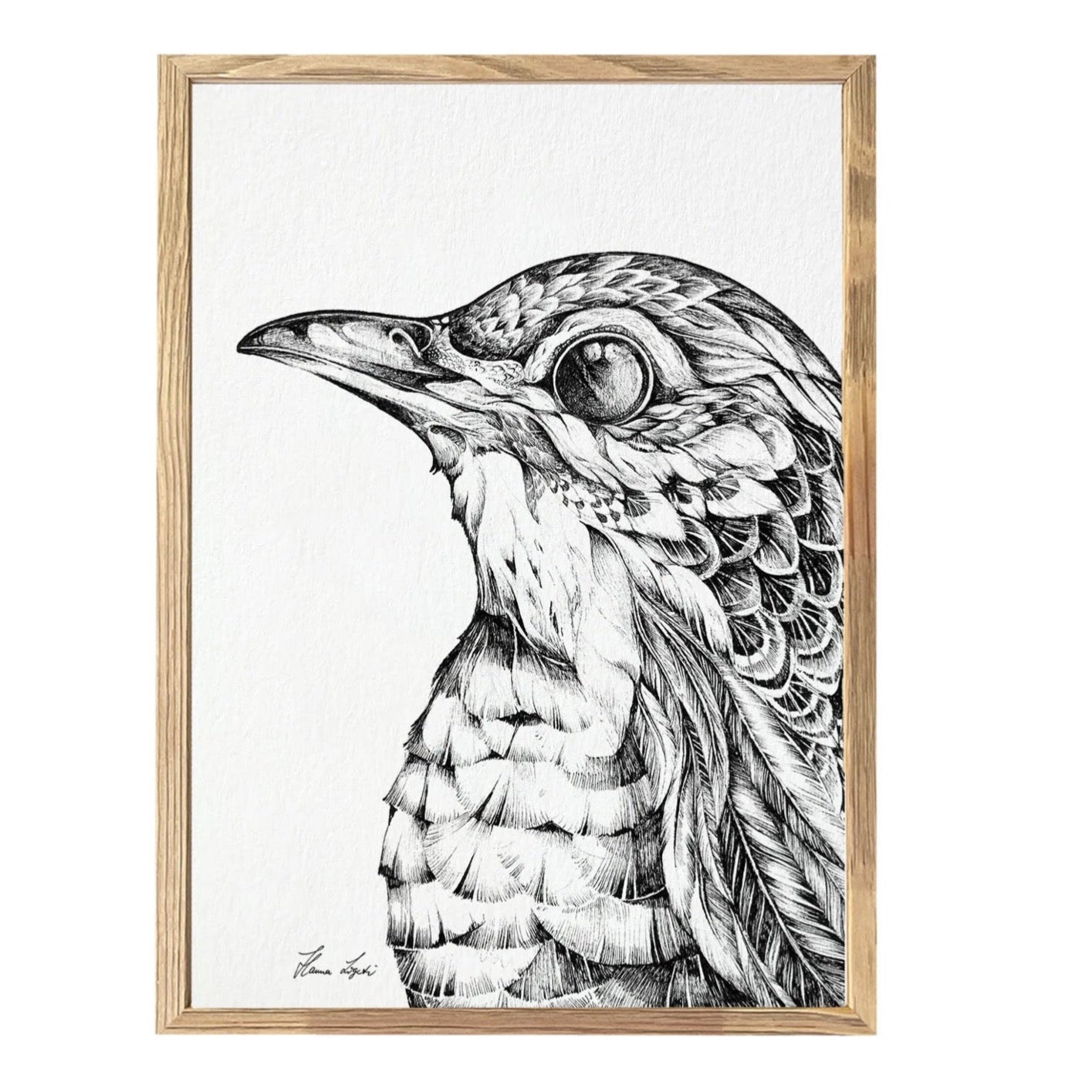 Premium Art Print - curiosity