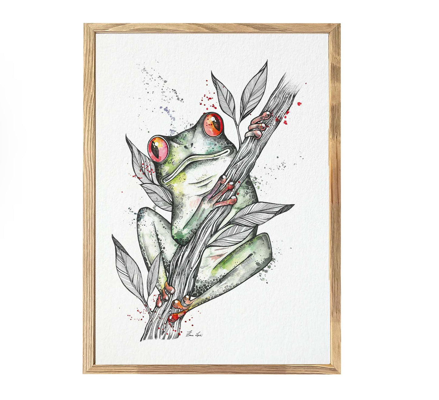 Premium Art Print - Sapo Frog