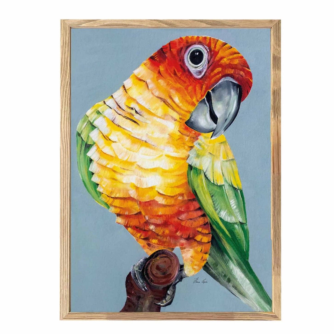 Premium Art Print - Sun Conure - Vibrant parrot