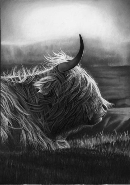 IMPRESIONES DE EDICIÓN LIMITADA - Highland Cow - Bellas artes Giclée