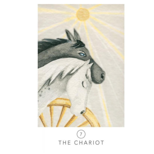 Tarot White Sage - Theresa Hutch (TAMAÑO DE BOLSILLO en una lata)