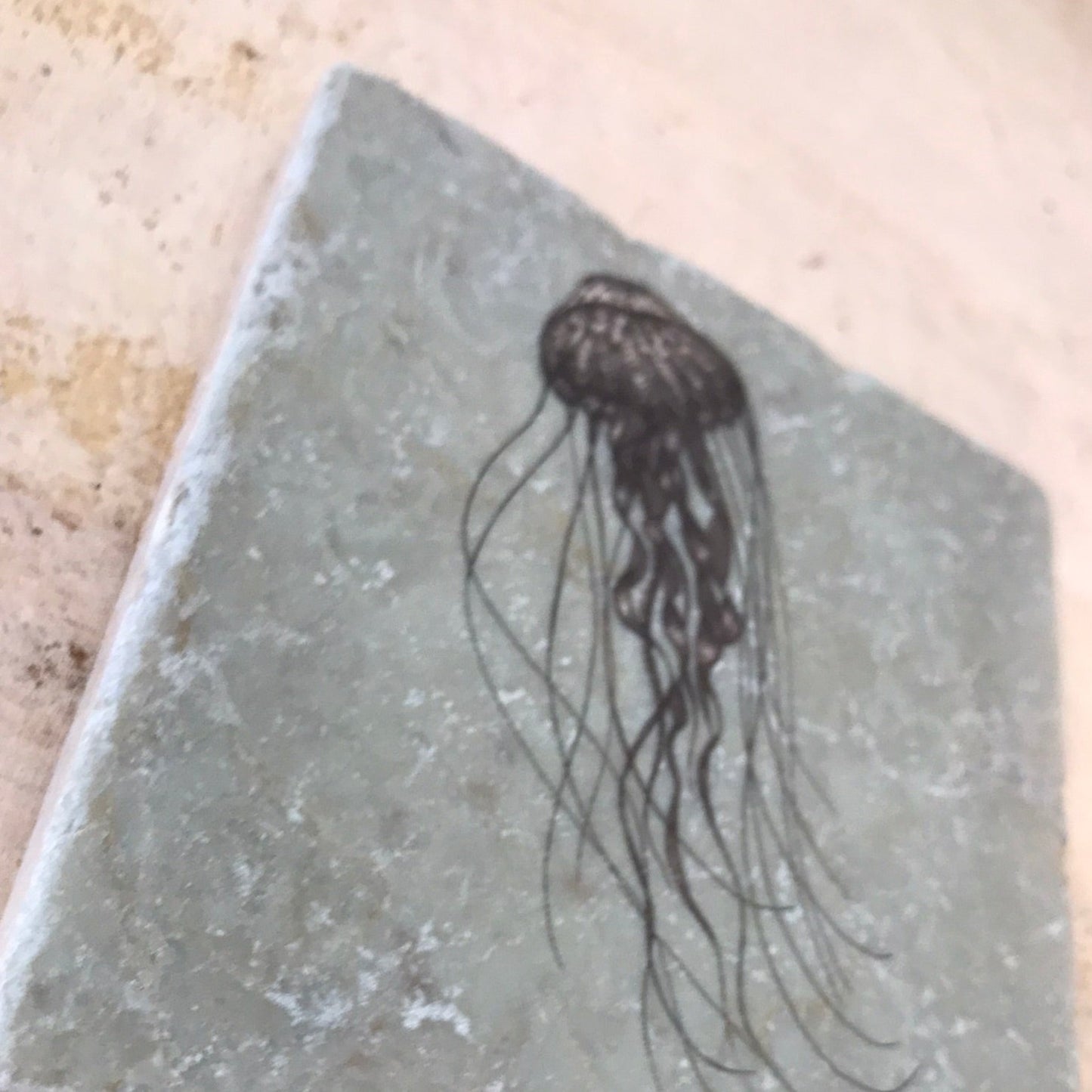 Natural stone art tiles SET OF THREE “Octopus / Sea horse /Jellyfish ”