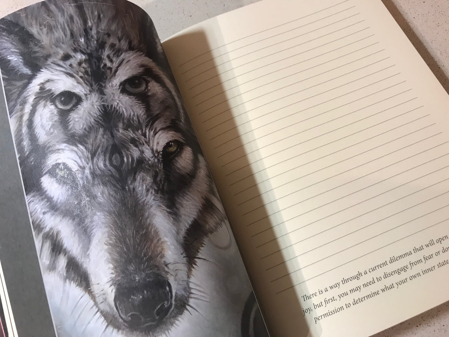 Medicine Heart Journal by Alana Fairchild