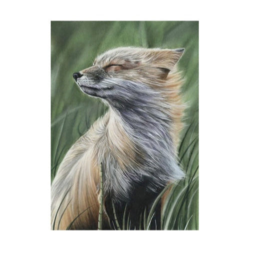 LIMITED EDITION PRINTS - Windswept Fox in Colour - Fine art Giclee