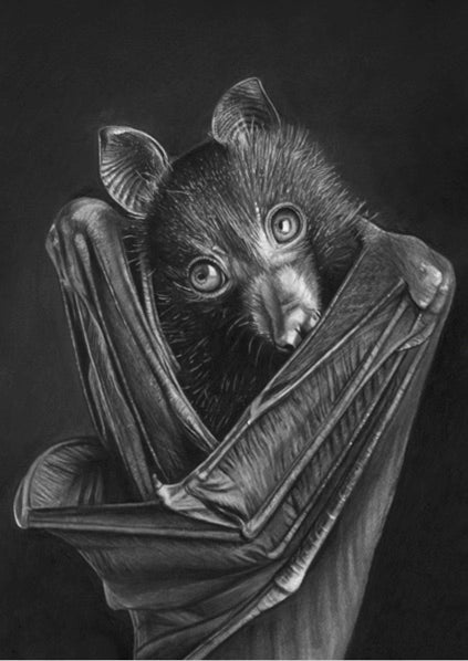 IMPRESIONES DE EDICIÓN LIMITADA - Murciélago - Bellas artes Giclée